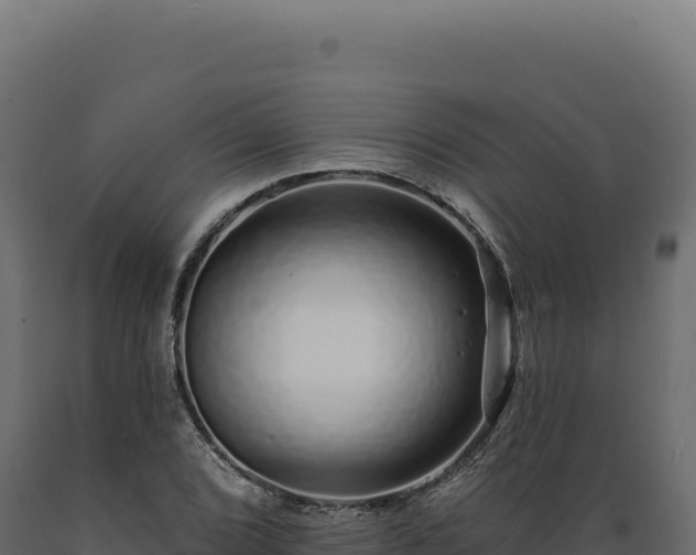 X0000089961072200707061135