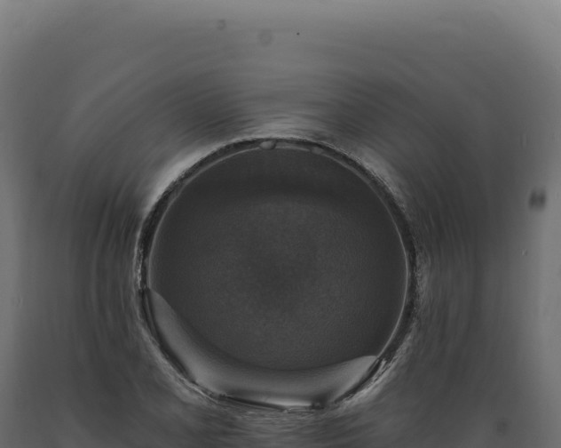 X0000089961077200707061135