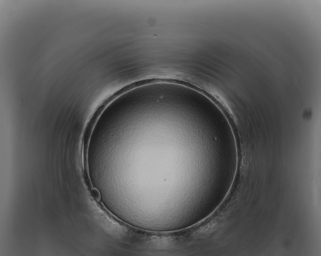 X0000089961080200707061135
