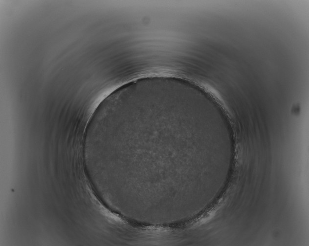X0000089961081200707061135