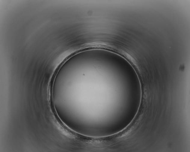 X0000089961082200707061135
