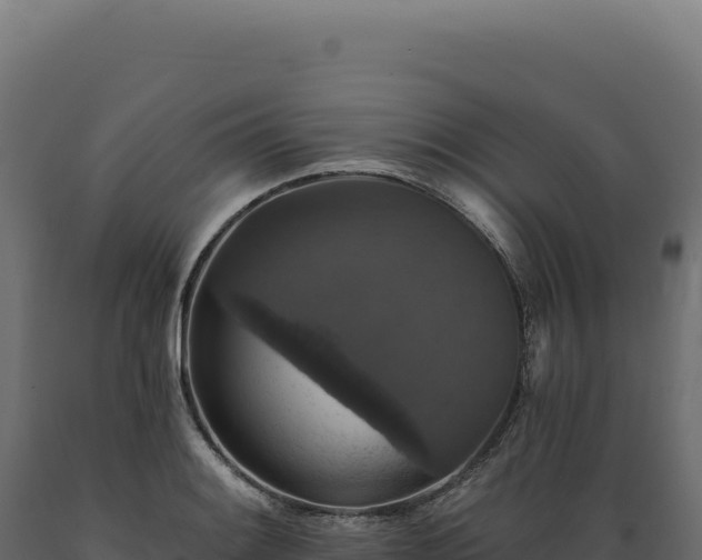 X0000089961084200707061135