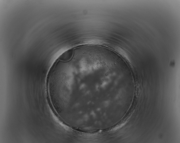 X0000089961087200707061135