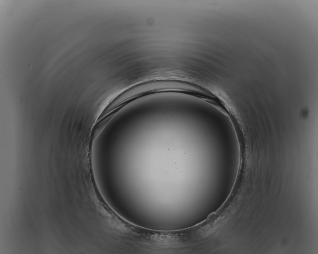 X0000089961089200707061135