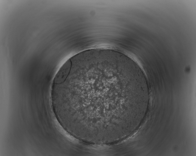 X0000089961091200707061135