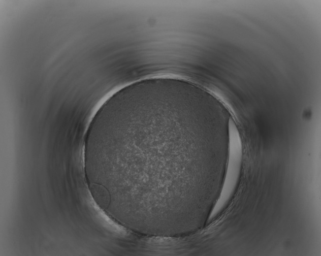 X0000089961092200707061135