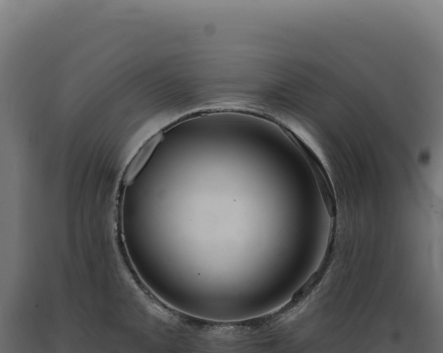 X0000089961093200707061135