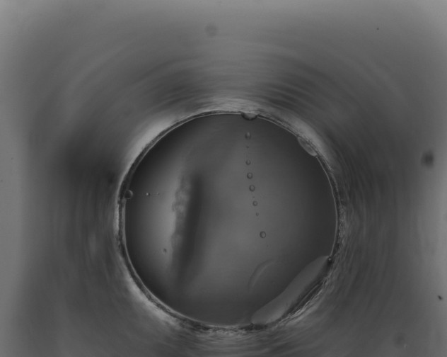 X0000089961095200707061135
