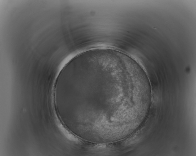 X0000089961098200707061135