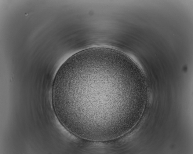 X0000089961100200707061135