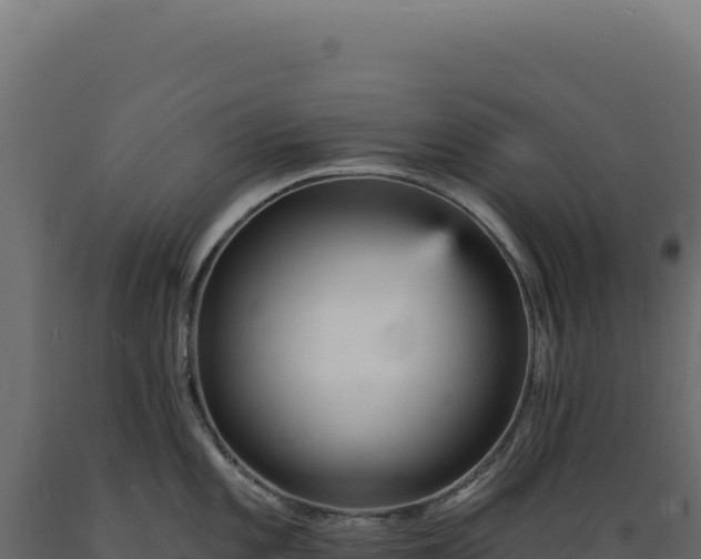 X0000089961101200707061135