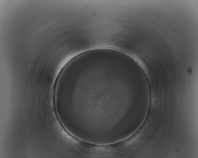 X0000089961102200707061135
