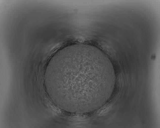 X0000089961105200707061134