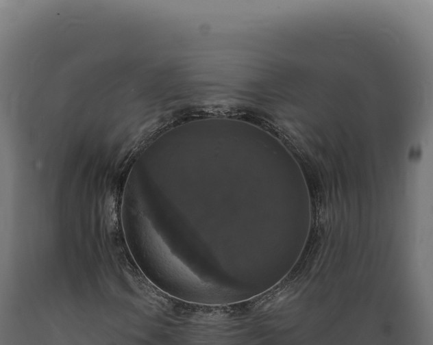 X0000089961106200707061134