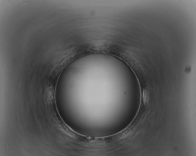X0000089961107200707061134