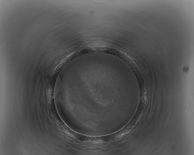 X0000089961108200707061134