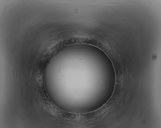 X0000089961109200707061134