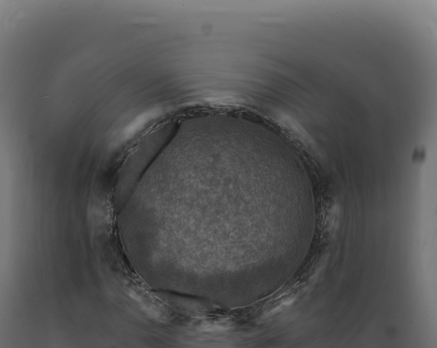 X0000089961110200707061134