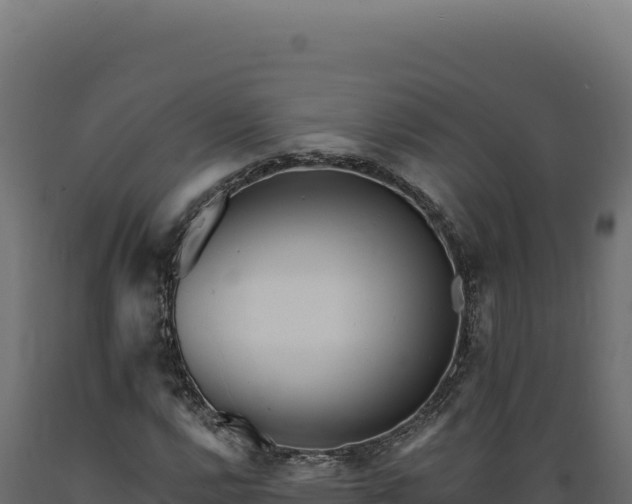 X0000089961112200707061134