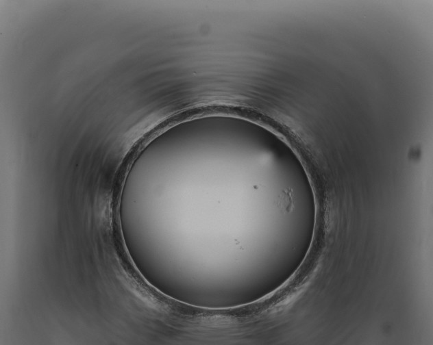 X0000089961113200707061134