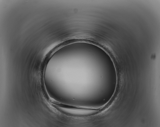 X0000089961114200707061134