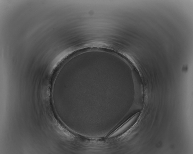 X0000089961115200707061134