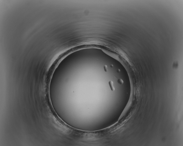 X0000089961116200707061134