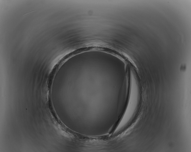 X0000089961117200707061134