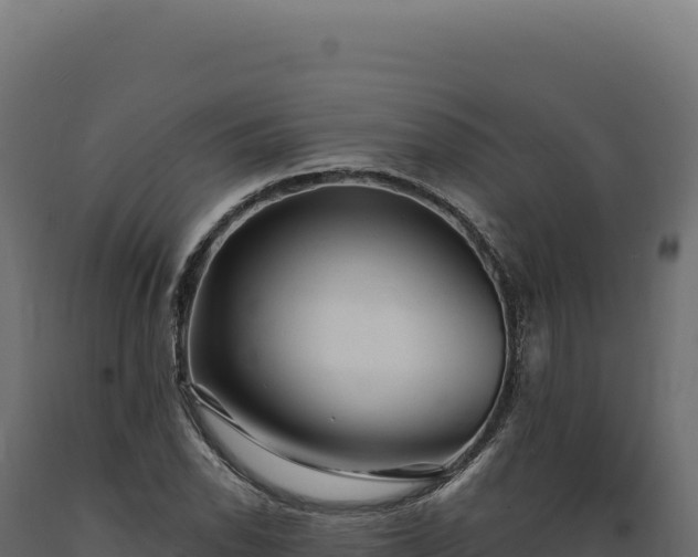 X0000089961118200707061134