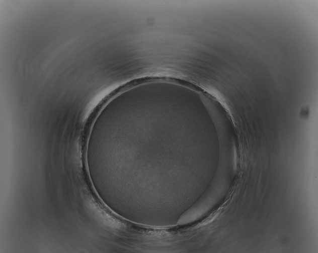 X0000089961120200707061134