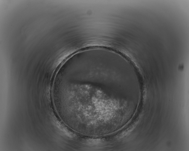 X0000089961121200707061134