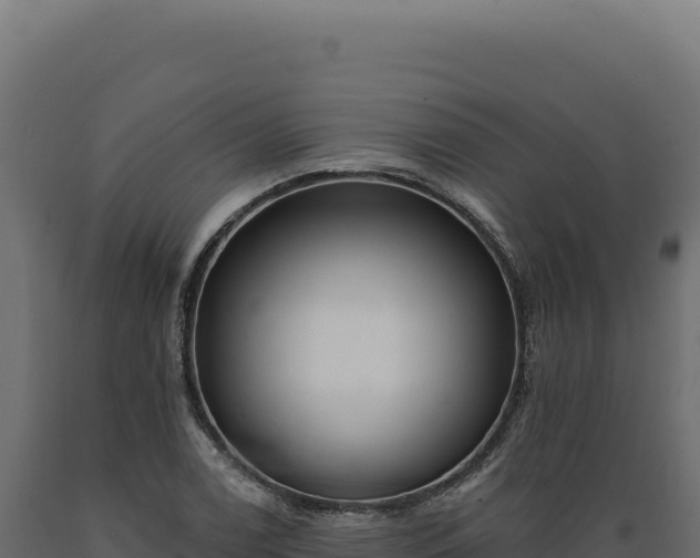 X0000089961122200707061134