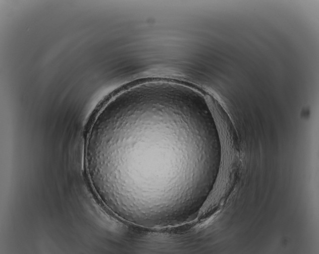 X0000089961123200707061134