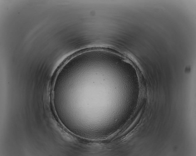 X0000089961124200707061135
