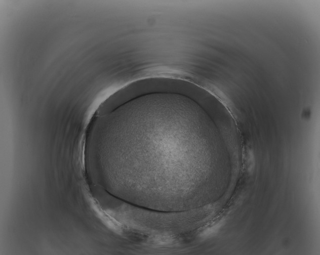 X0000089961128200707061135