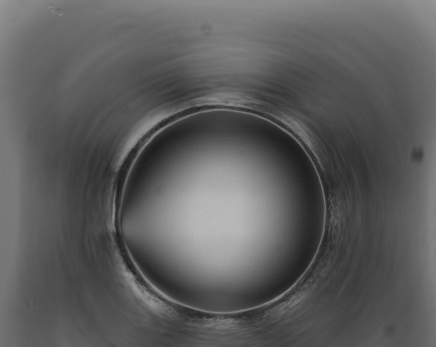 X0000089961131200707061135