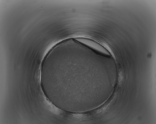 X0000089961132200707061135