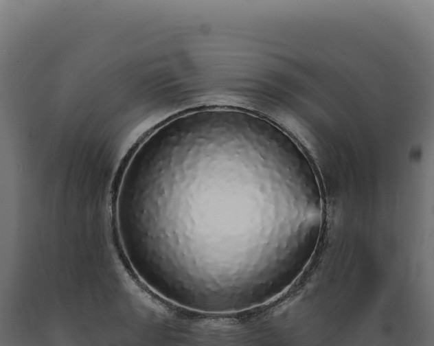 X0000089961133200707061135
