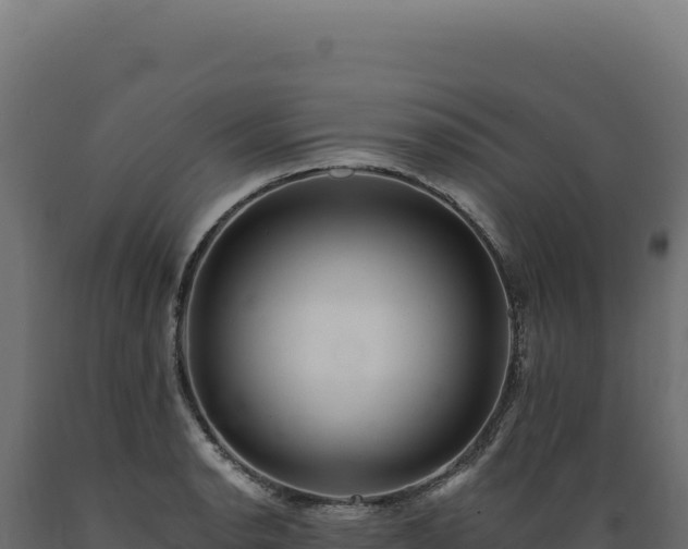 X0000089961134200707061135