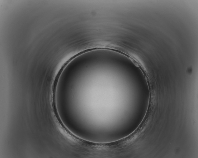 X0000089961136200707061135