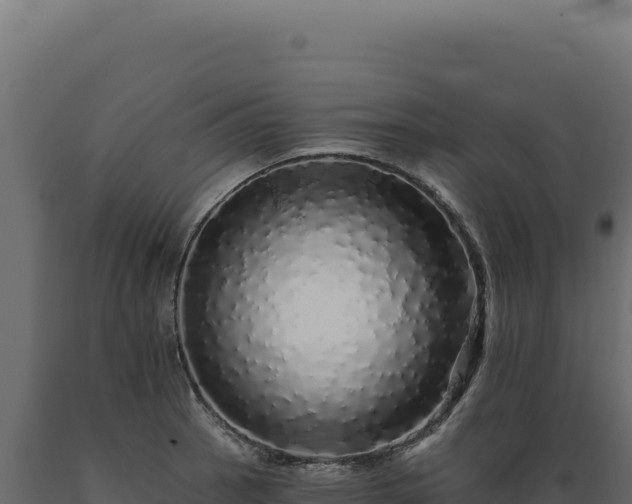 X0000089961137200707061135