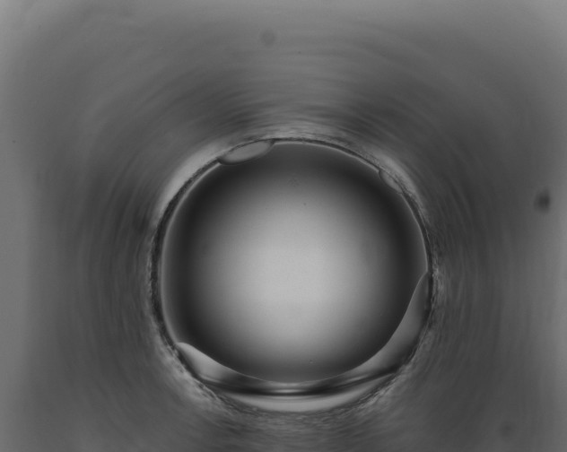 X0000089961138200707061135