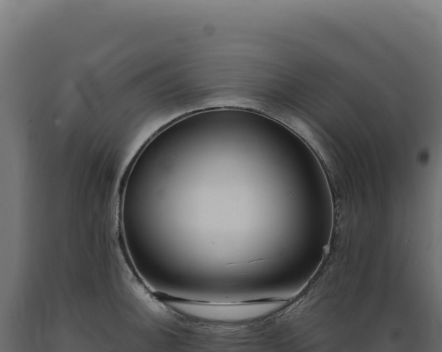 X0000089961140200707061135