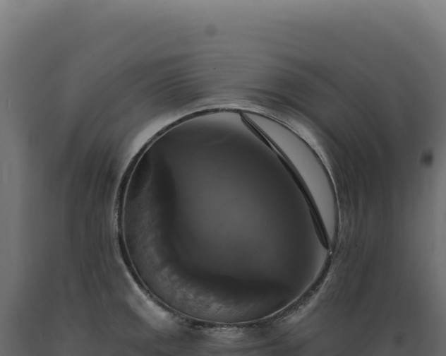 X0000089961141200707061135