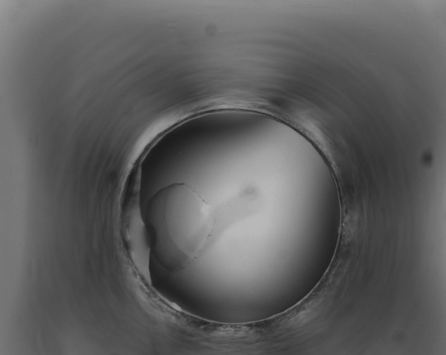 X0000089961146200707061135