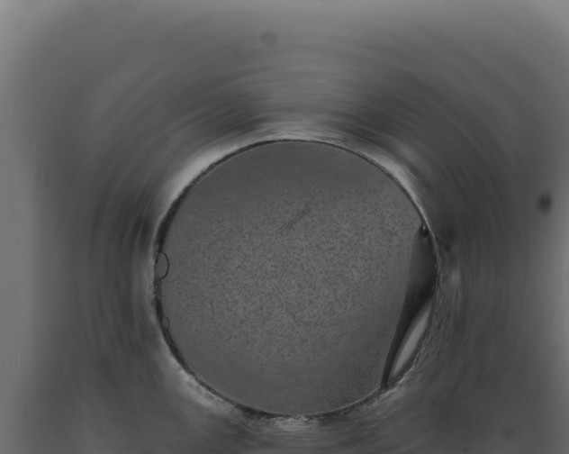 X0000089961147200707061135