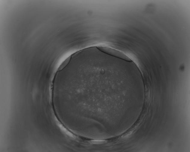 X0000089961151200707061135