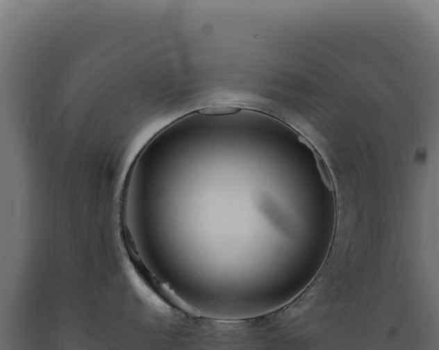 X0000089961152200707061135