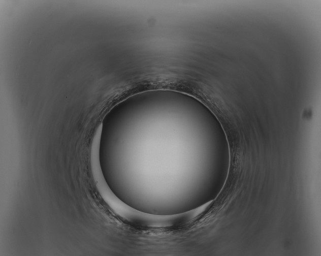 X0000089961153200707061134