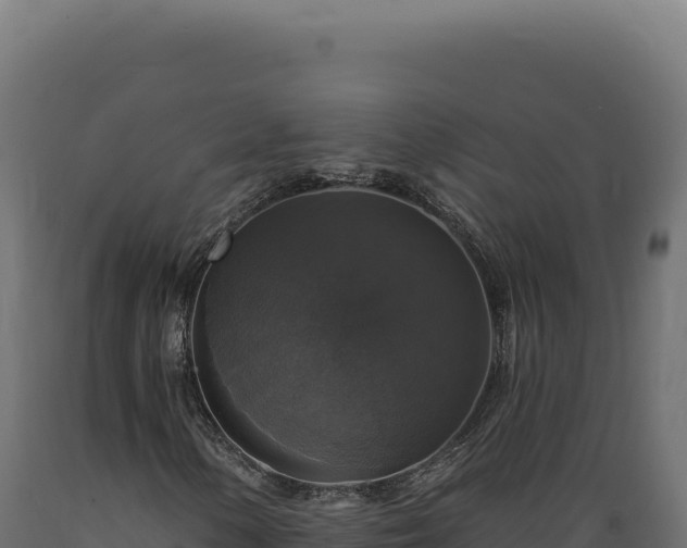 X0000089961154200707061134